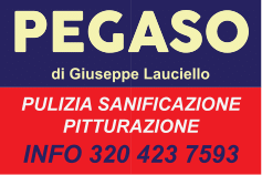 Logo Pegaso-1